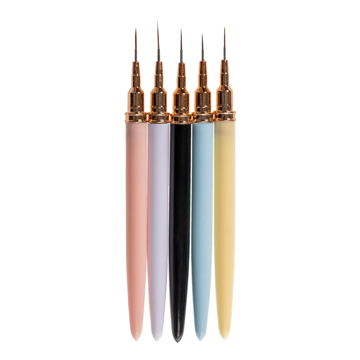 Profesyonel 5'li Kapaklı İnce Çizgi (Liner) Nail Art Fırça Seti NL-0646